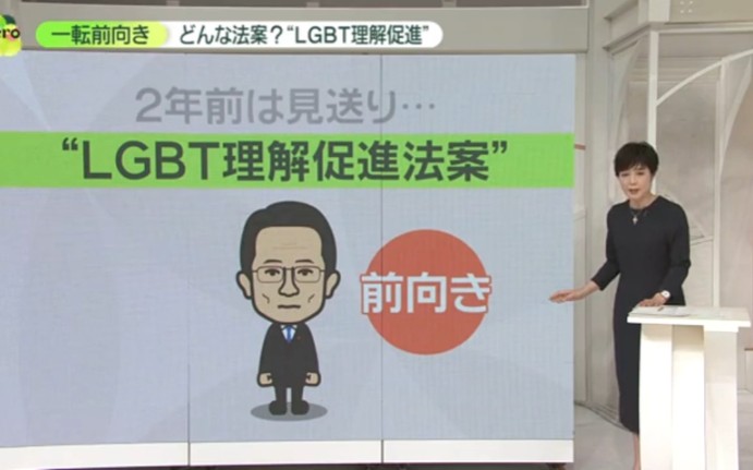 【日语解说】为什么现在日本对“LGBT理解促进法案”积极推进哔哩哔哩bilibili