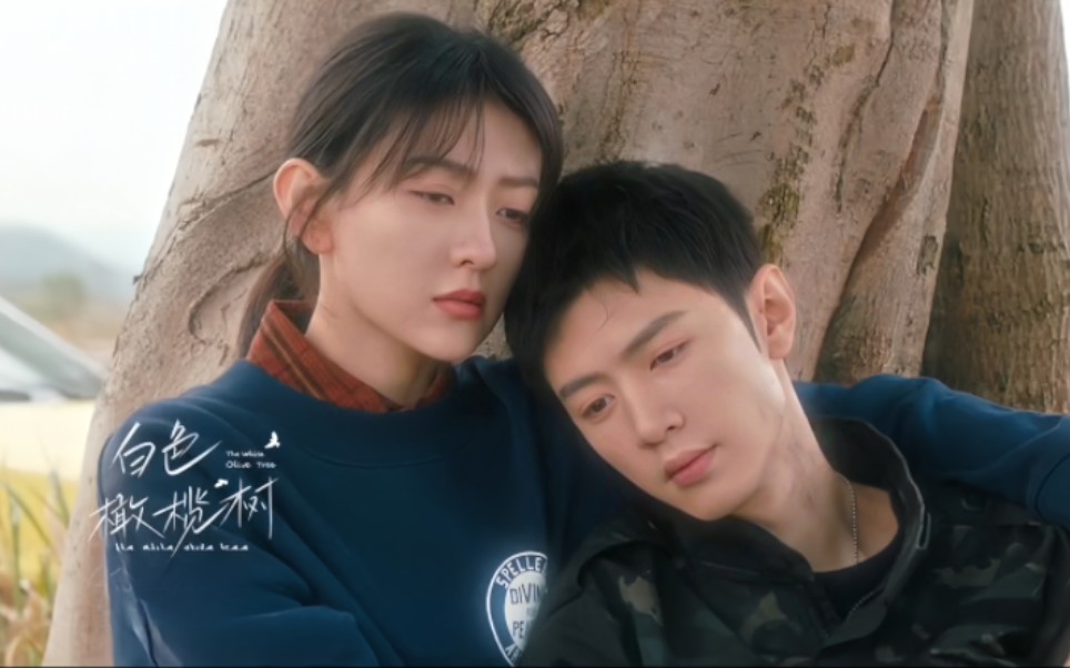 陈哲远,梁洁二搭新剧《白色橄榄树》杀青