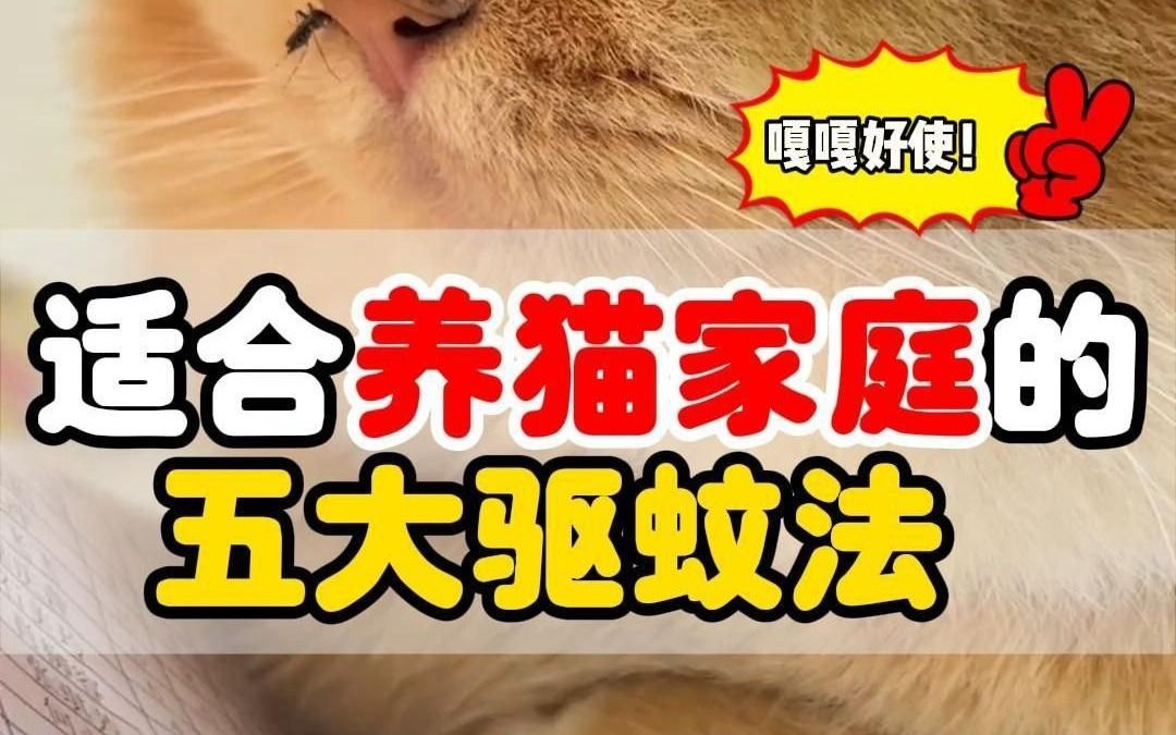 放音乐也能驱蚊?适合养猫家庭的五大驱蚊法哔哩哔哩bilibili