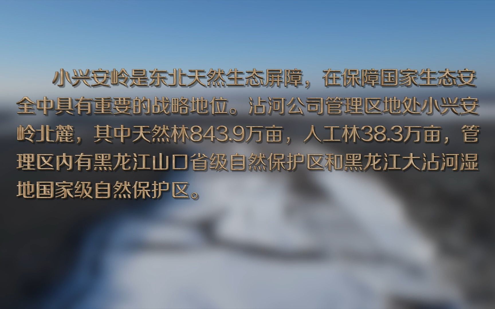 黑龙江森工集团沾河公司保护森林不力 小兴安岭林地大面积被毁哔哩哔哩bilibili