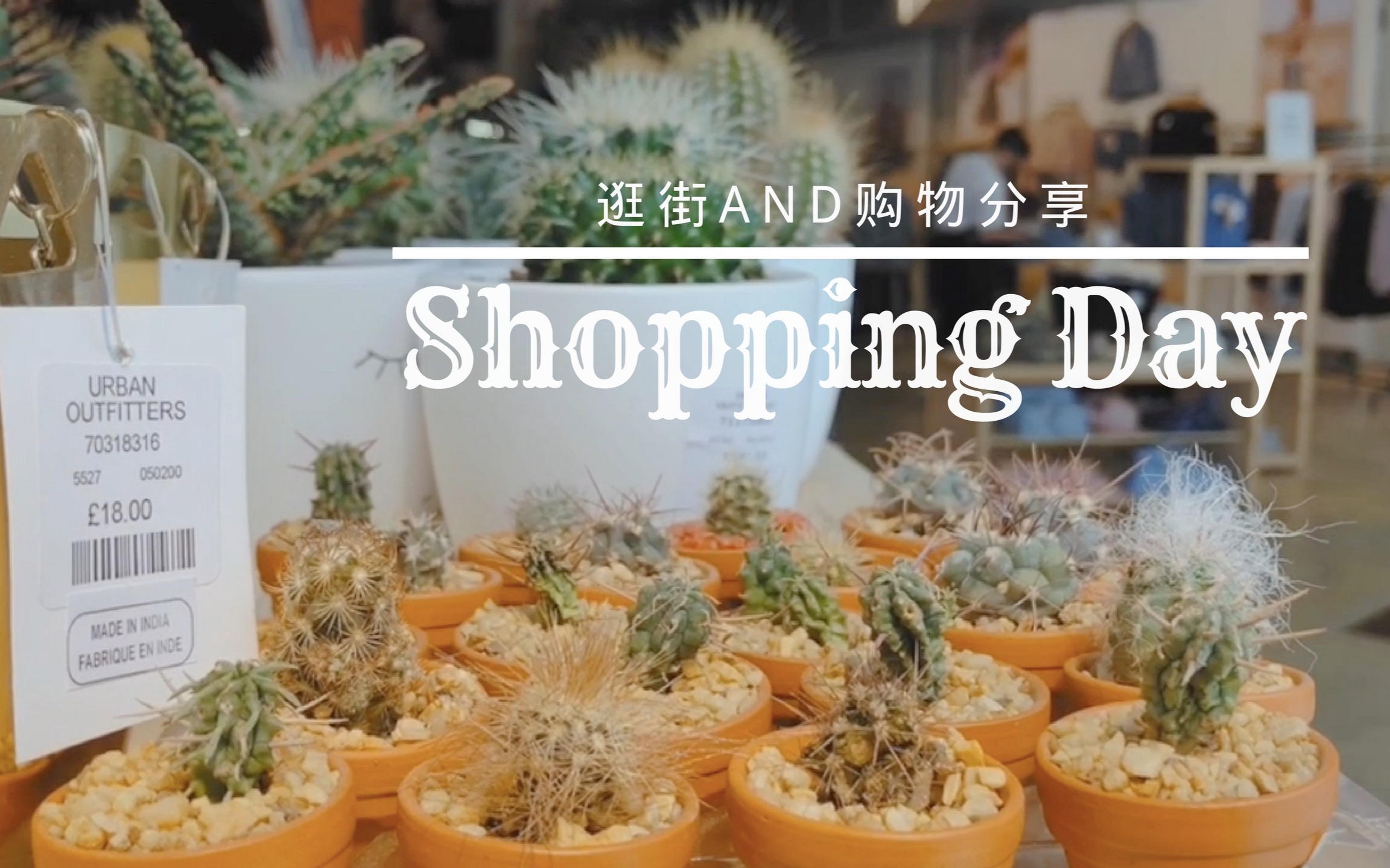 Vlog | Shopping Day 逛街and购物分享哔哩哔哩bilibili