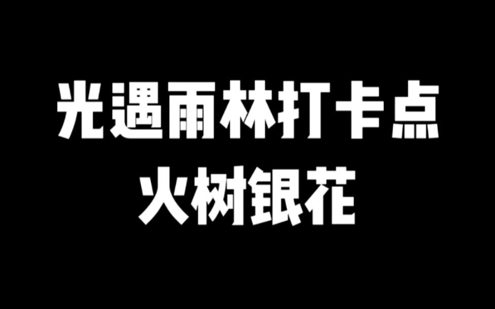 [图]光遇雨林打卡点火树银花