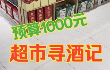 【酱迷会】酱迷寻酒,盒马超市,1000元能买到什么样的白酒?哔哩哔哩bilibili