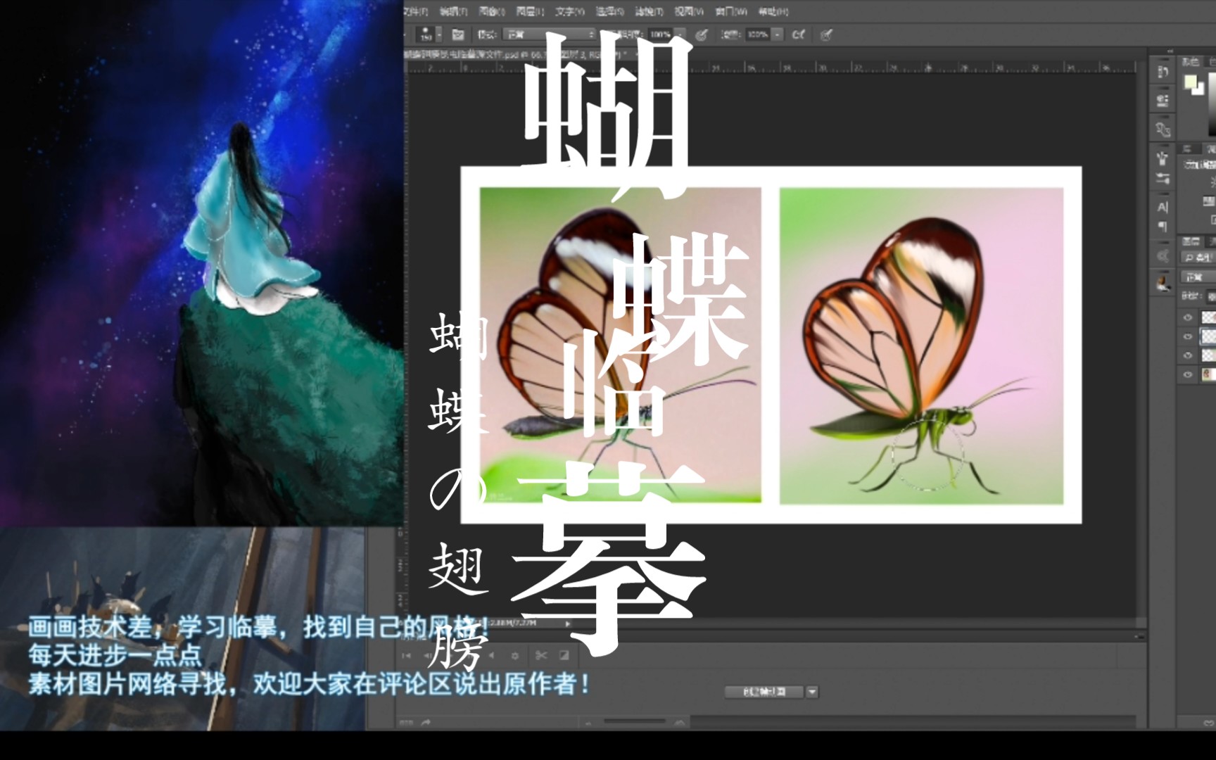 【蝴蝶照片临摹】稍微有点潦草哔哩哔哩bilibili