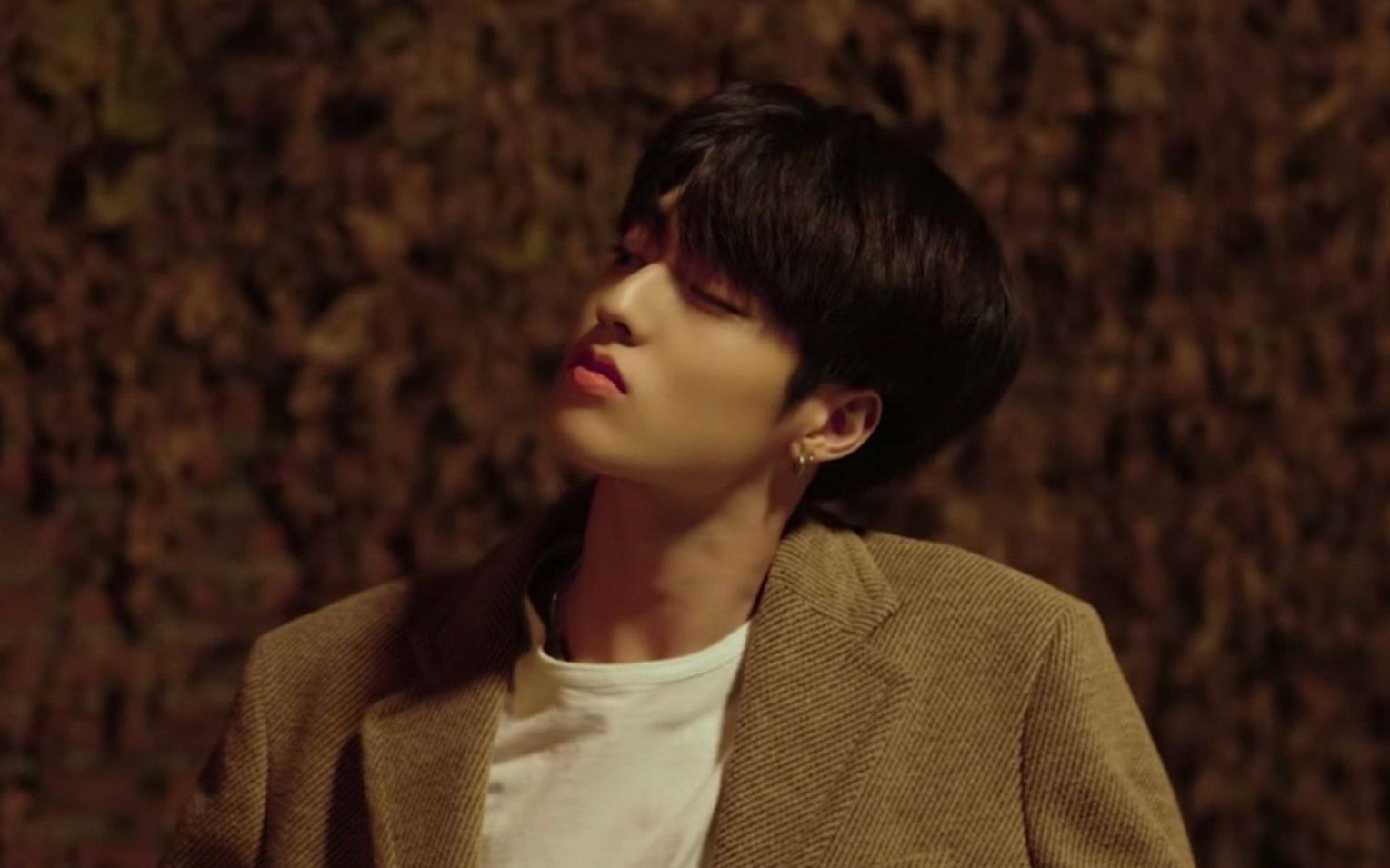 haruto仿佛电影镜头下温柔的大男孩渡边温斗你的秋日氛围男友