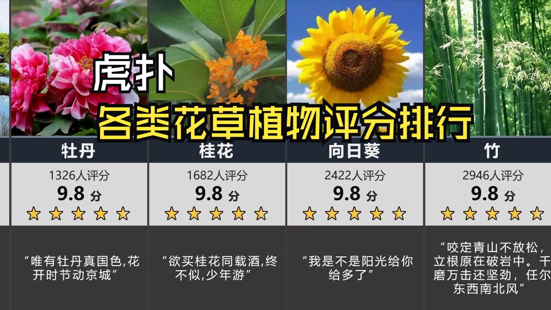 虎扑,各类花草植物评分排行!哔哩哔哩bilibili