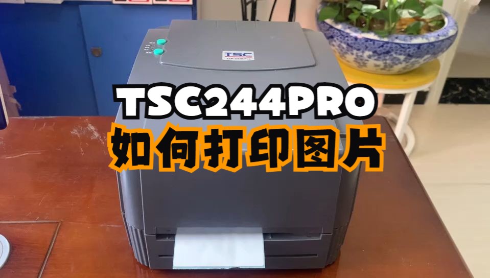 TSC244PRO标签打印机如何打印图片,看完保证你也会用了,哔哩哔哩bilibili