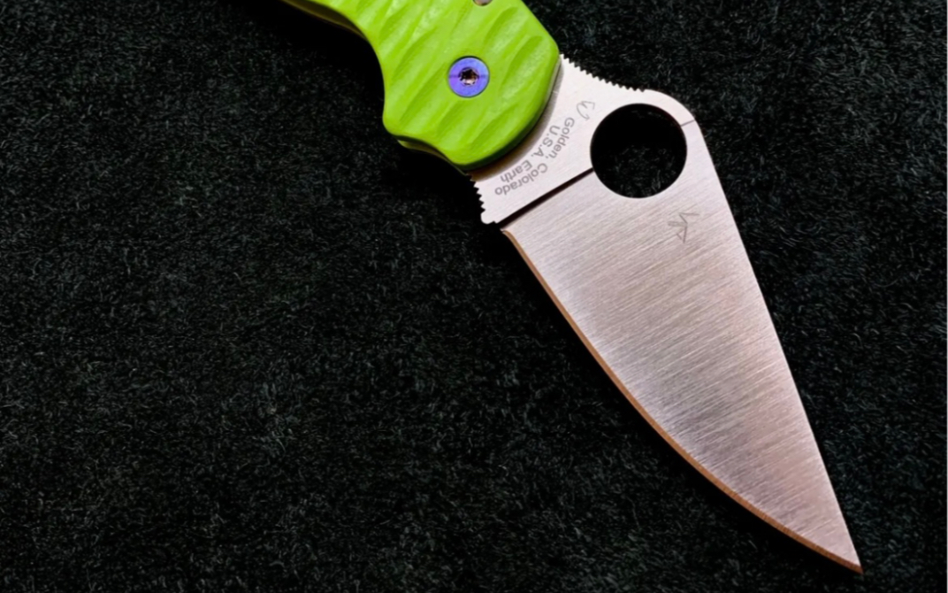 蜘蛛c223 被毒到 之前还觉得很丑 现在却喜欢的不行