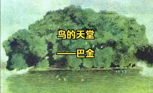 你还记得那些年,我们一起读过的经典课文吗——《鸟的天堂》