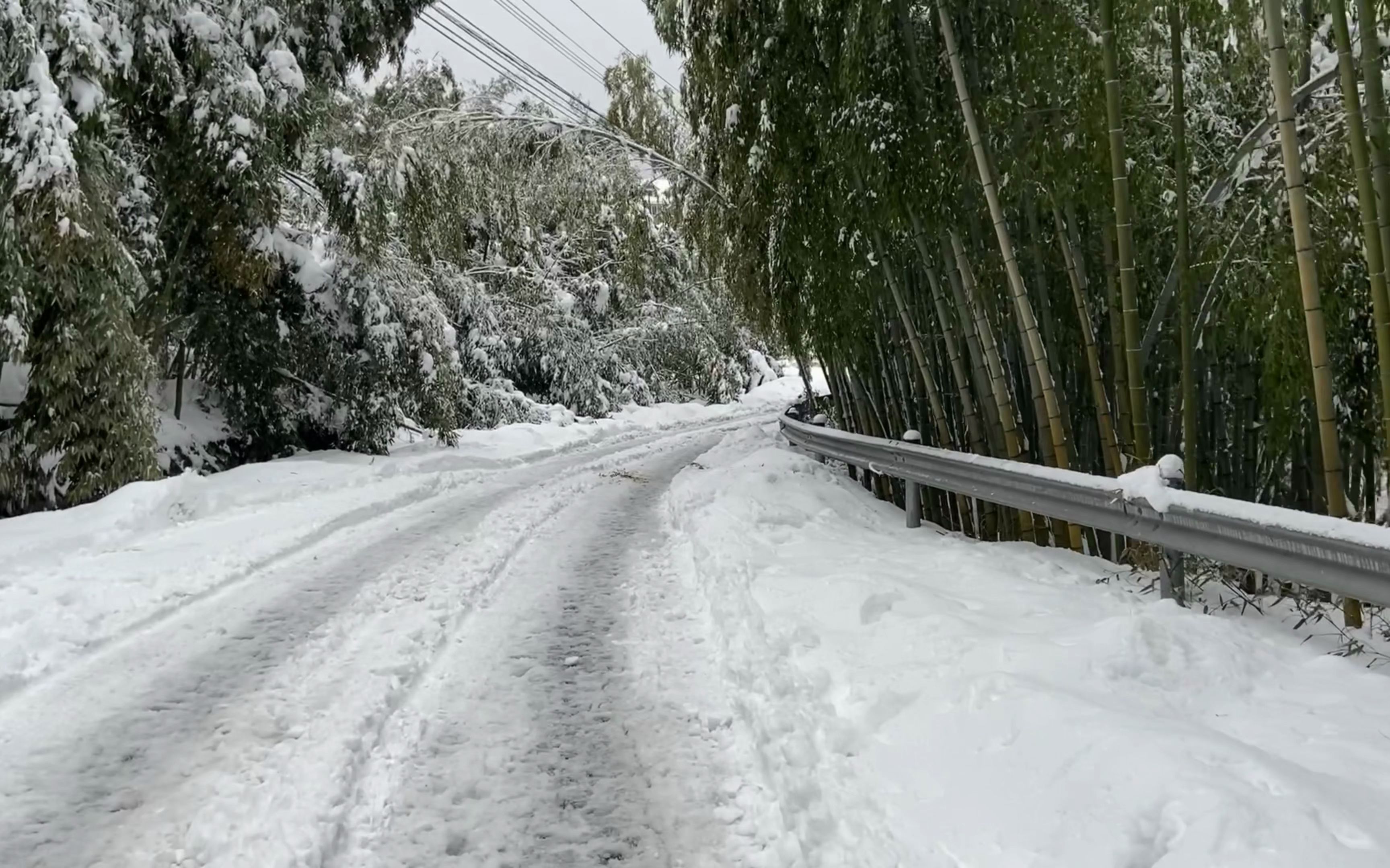 [图]喵影-我的影片20220219龙王山