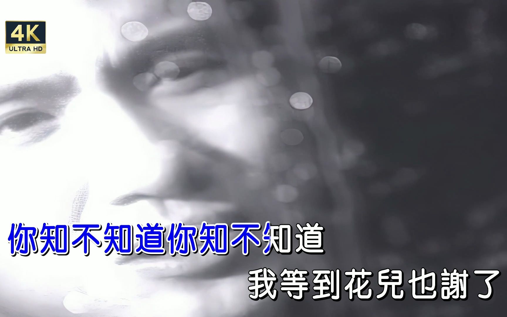 [4k修复]张学友-我等到花儿也谢了[粤][繁体版][4k]ktv卡拉ok