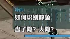 【小教学】如何识别鲸鱼是盘子隐还是大隐?(剑心插件集喊话辅助)网络游戏热门视频