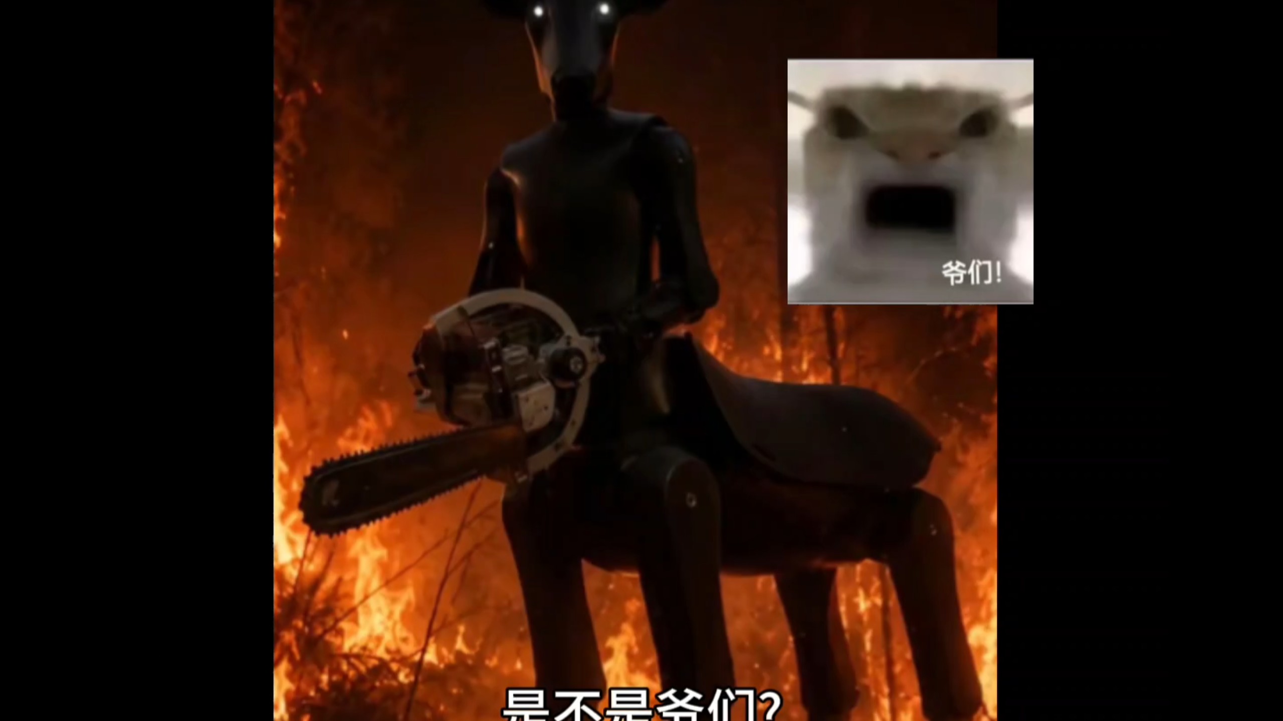 是不是爷们?和它战斗!