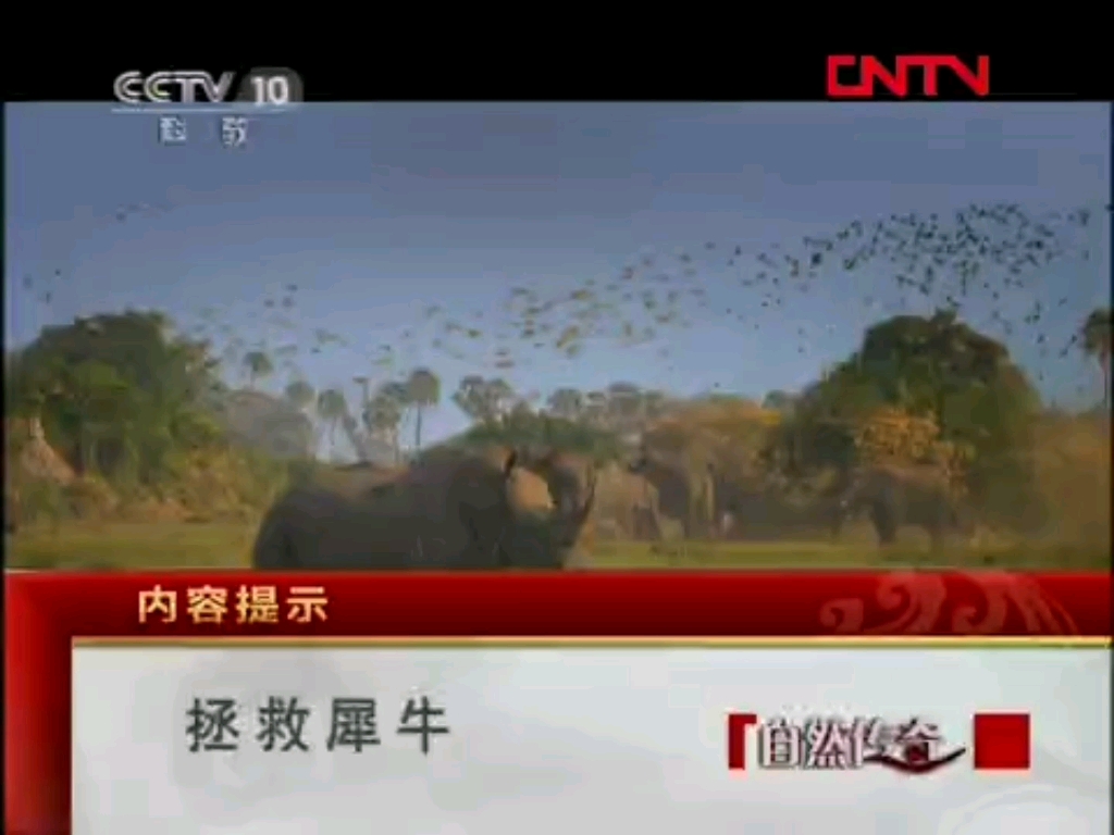 【放送文化】cctv-10科教频道《自然传奇》片头片尾及中场广告 2011.