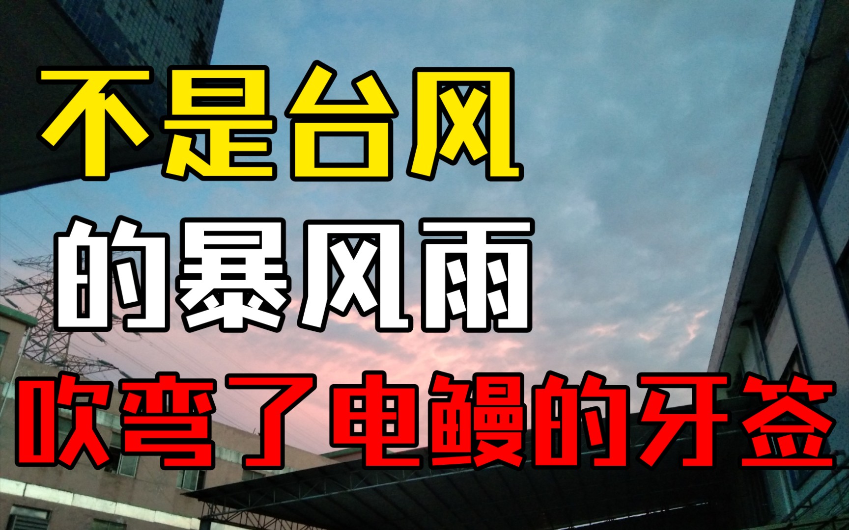 不是台风的雨,居然把加拿大电鳗的牙签掰断了?