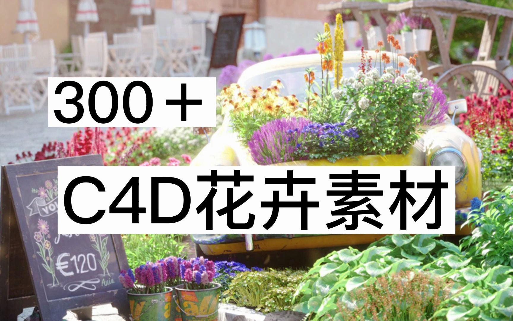 【C4D】300+C4D花卉素材||无偿分享哔哩哔哩bilibili