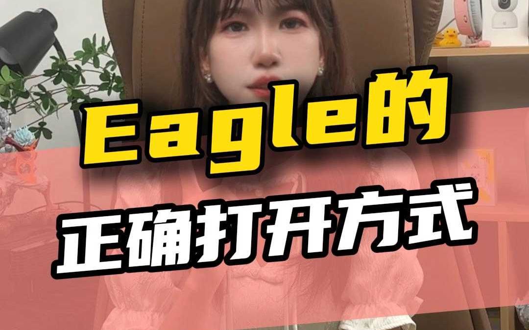 eagle图片文件如何在线分享?哔哩哔哩bilibili