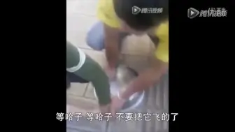 Download Video: 【淮安方言】【滨海方言】快来！我逮到个麻雀子_搞笑配音_滨海论坛-www.binxx.com