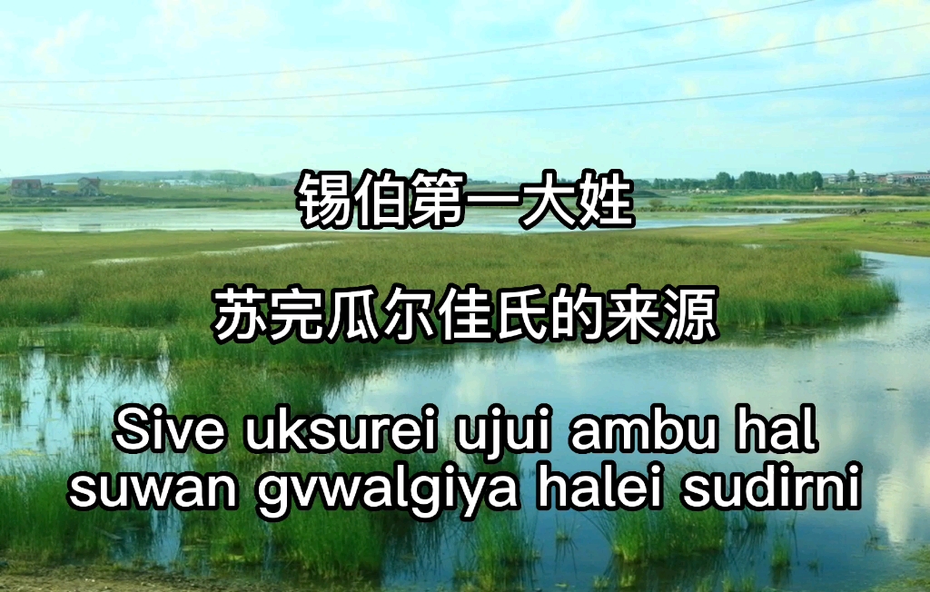 【锡伯语科普】锡伯第一大姓苏完瓜尔佳氏的来源(自制)哔哩哔哩bilibili