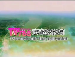 Download Video: 【架空音像/WSB爱LOGO】TV768影音公司(隶属于渊南国家出版集团公司)片头