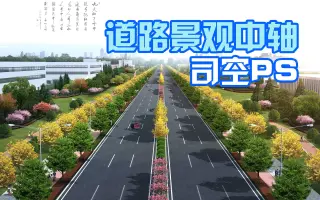 道路植物 搜索结果 哔哩哔哩 Bilibili