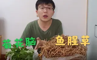 南京野菜 搜索结果 哔哩哔哩 Bilibili