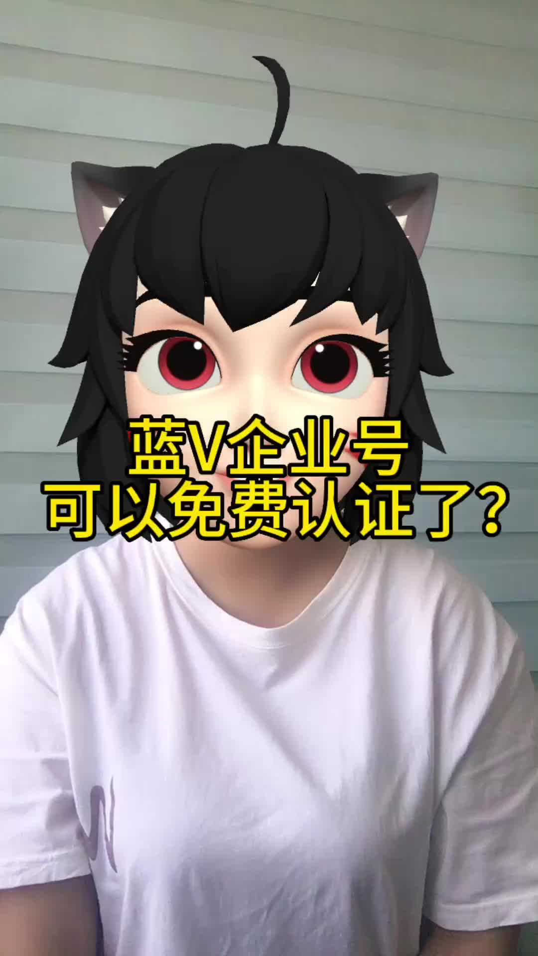 蓝V企业号可以免费认证了?免费认证蓝V需要什么条件?哔哩哔哩bilibili