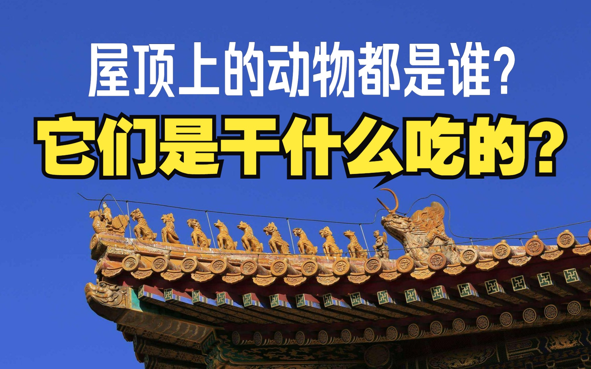 [图]古建筑屋顶上的这些动物都是谁？干什么吃的？