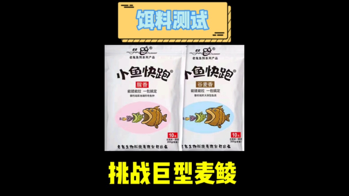 这样的腥香搭配,竟然引来巨型麦鲮霸窝!老鬼新品小鱼快跑饵料测试哔哩哔哩bilibili