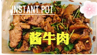 Instant Pot Braised Beef Flank 电压锅 炖牛腩 简单料理 哔哩哔哩 Bilibili
