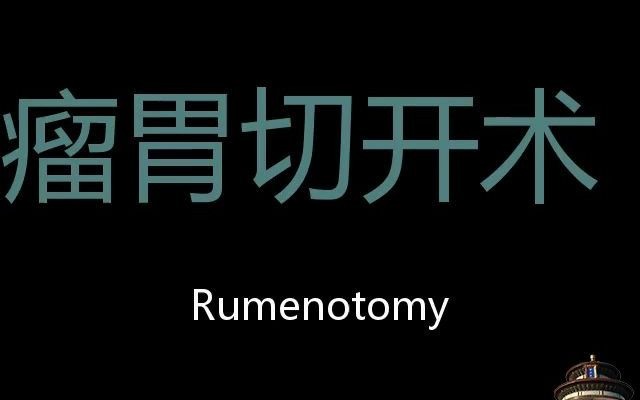 瘤胃切开术 Chinese Pronunciation Rumenotomy哔哩哔哩bilibili