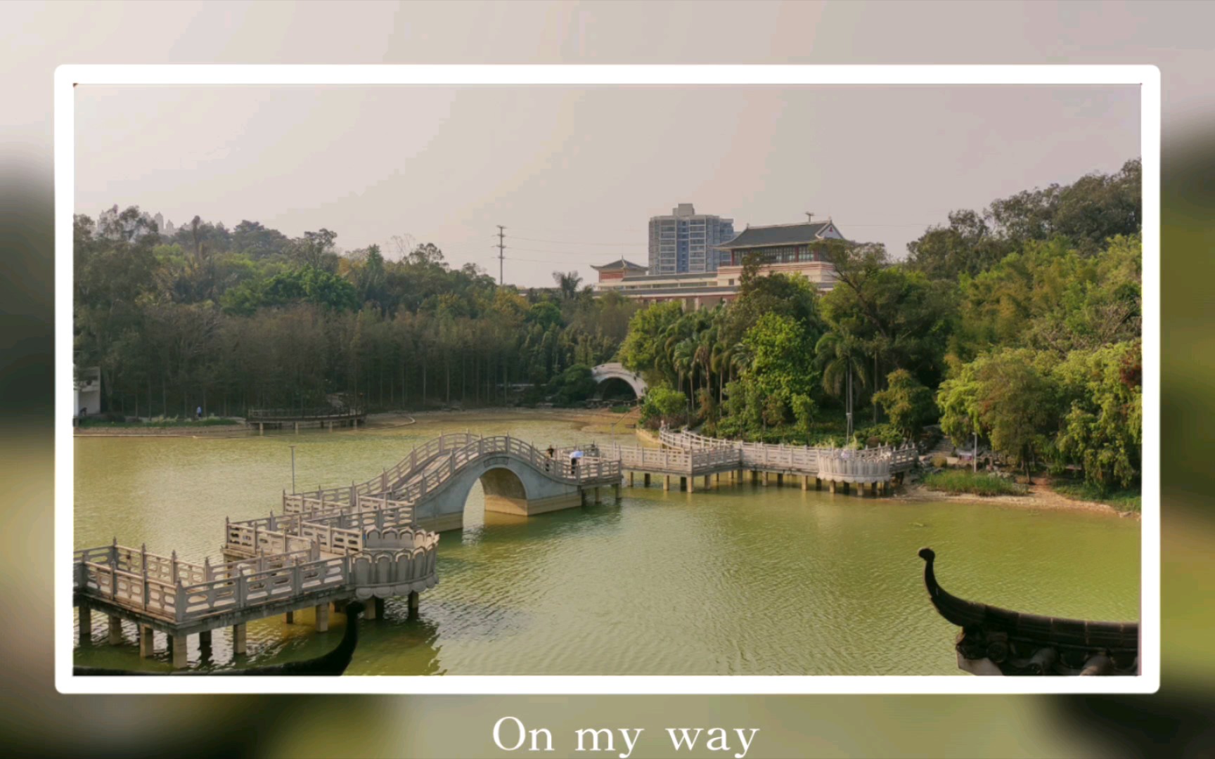 狮山公园,小园一景.桥好美