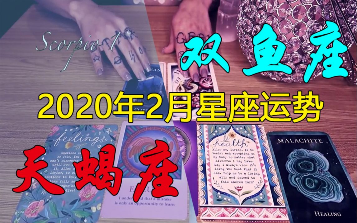 【中字】Stargirl 2020年2月星座运势天蝎座/双鱼座 含水逆过关指南 【占星+塔罗牌】哔哩哔哩bilibili