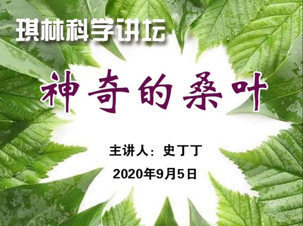 琪林科学讲坛 第28期“神奇的桑叶”哔哩哔哩bilibili