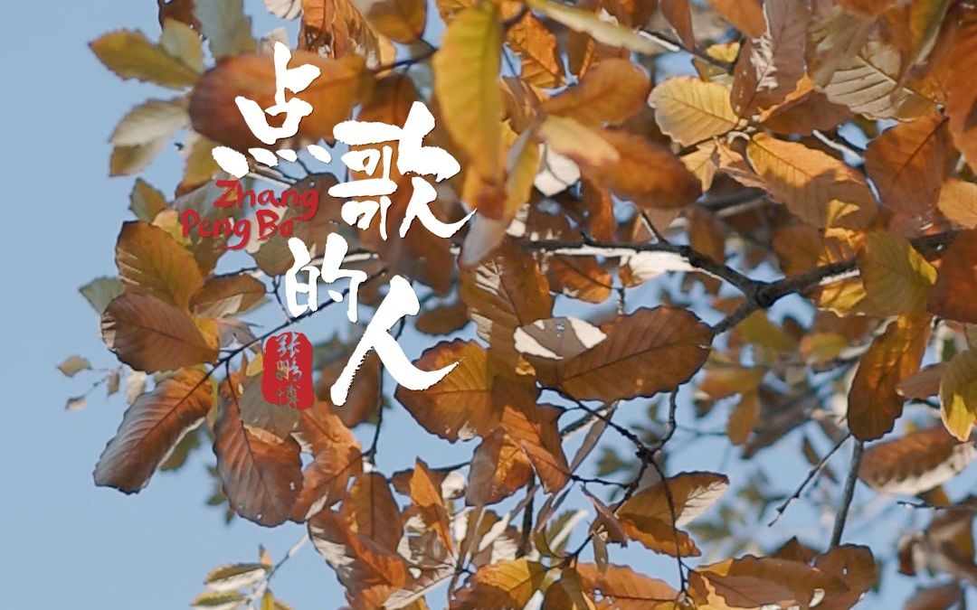 陶视频--《点歌的人》张鹏博演奏