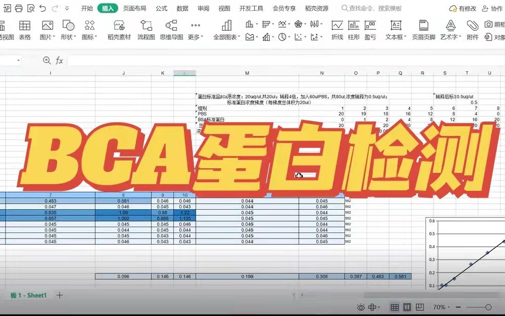 BCA蛋白检测法 直线绘制 手把手教包会!哔哩哔哩bilibili