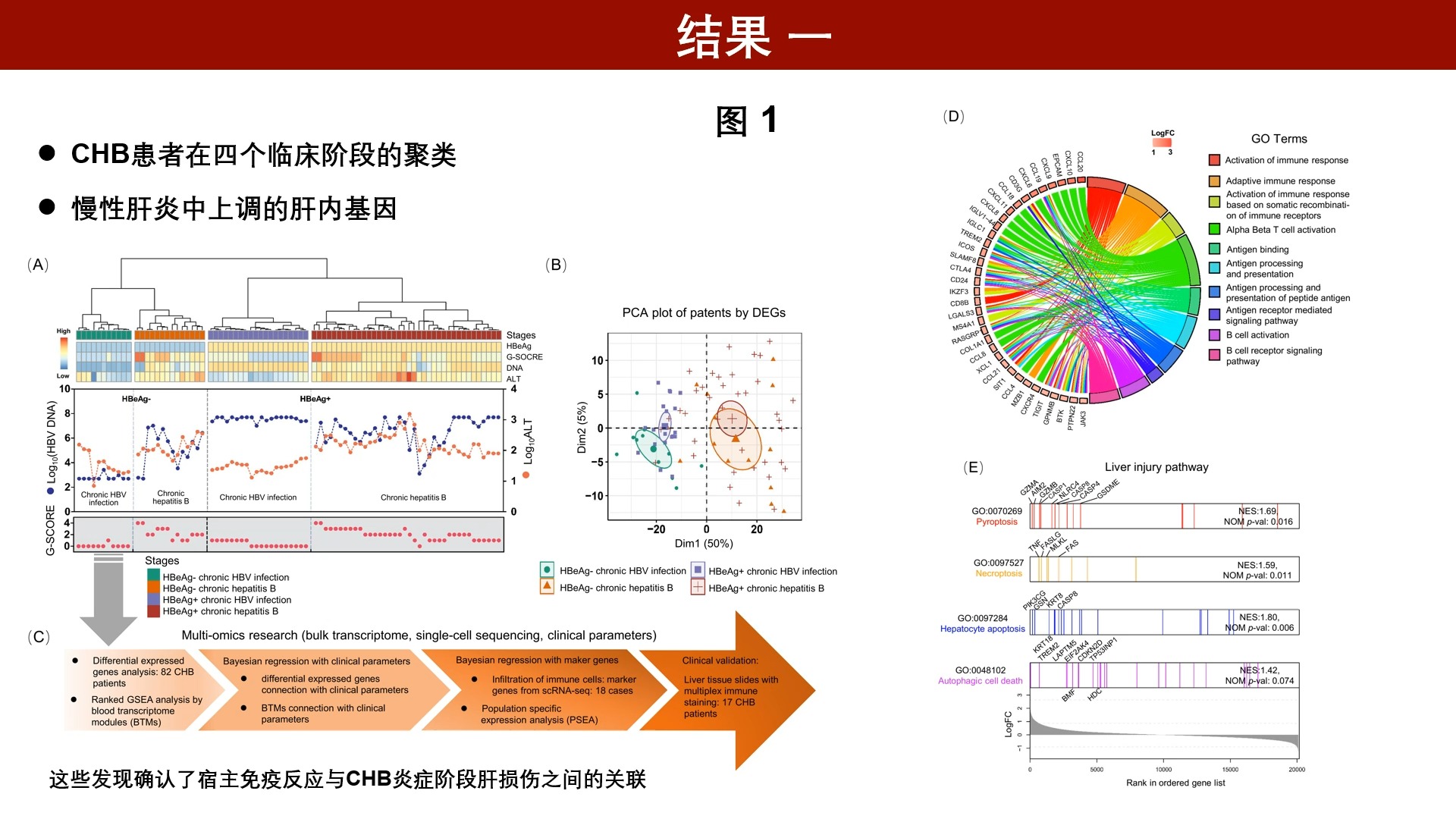 imeta | 卢洪洲/陆蒙吉/张继明等构建贝叶斯多组学分析模型解析慢乙肝