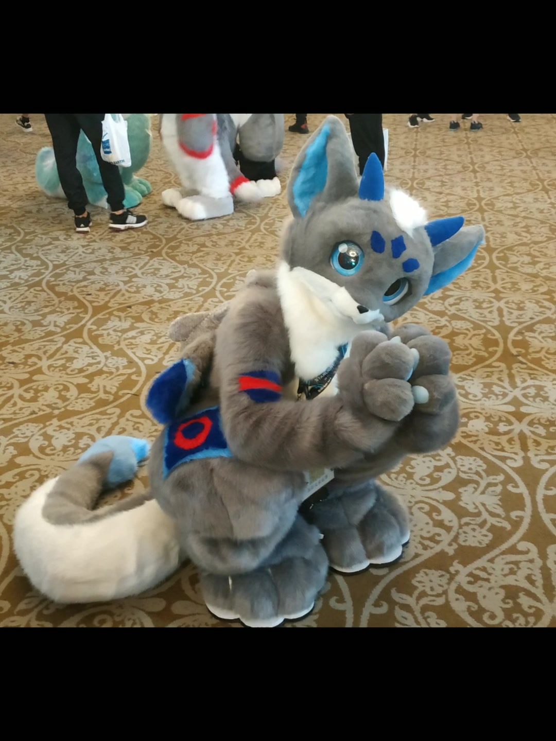 2019极兽聚各种可爱的毛毛吹爆鹿野