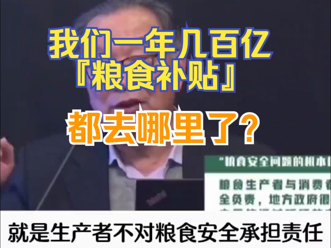 温教授:我们一年几百亿『粮食补贴』都去哪里了?哔哩哔哩bilibili