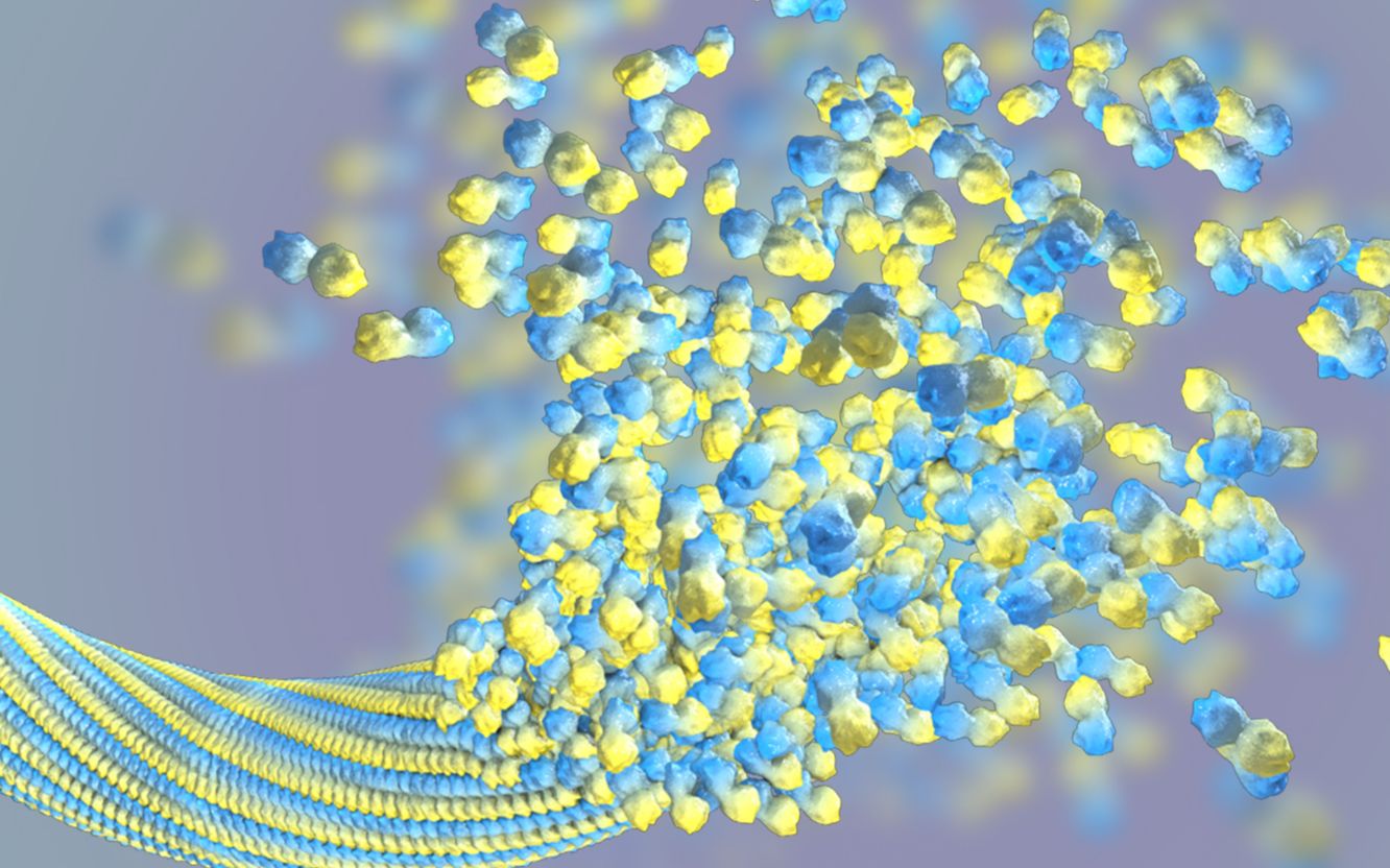 课时(四十)c4d科研绘图-微管