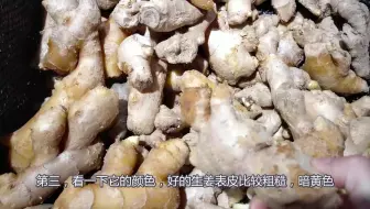经常买生姜的时候一定要注意了，这种生姜千万不要买，你i觉得呢