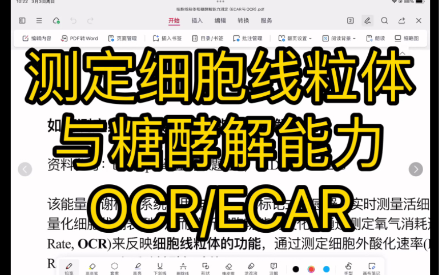 如何测定细胞线粒体功能与糖酵解能力?(OCR,ECAR)【医学科研】哔哩哔哩bilibili