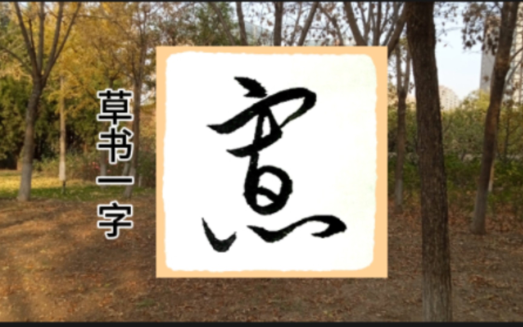 草书一字,寡的写法.