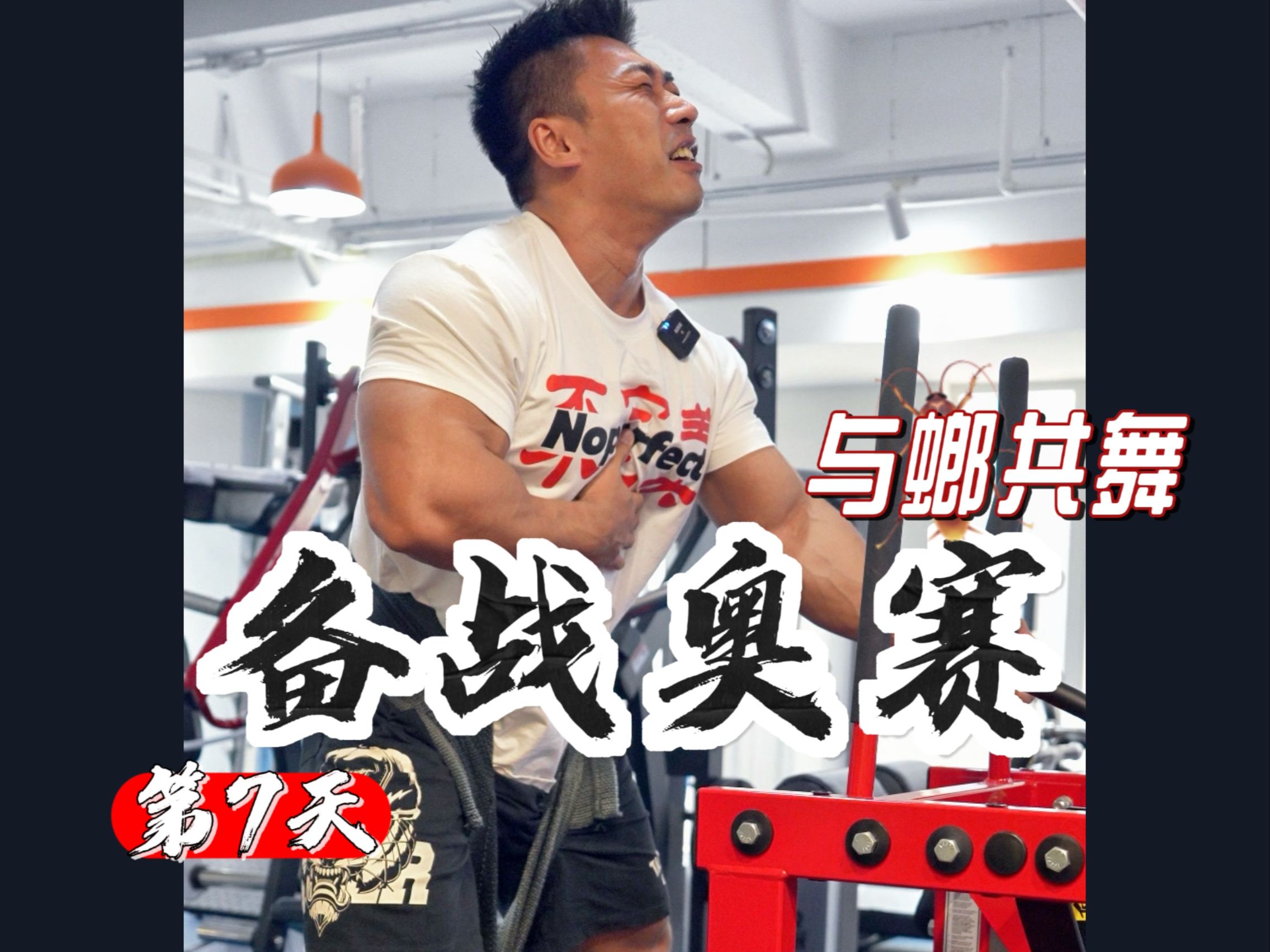 备赛 | 备战奥赛第 7 天 开始战螂行动