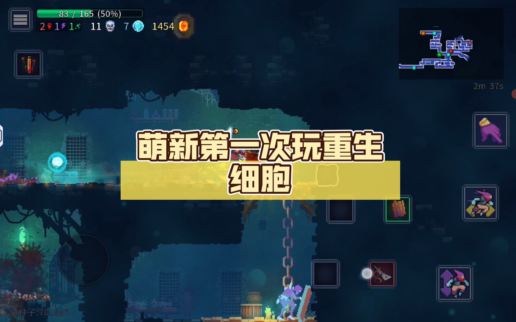 萌新第一次玩重生细胞(第三期)