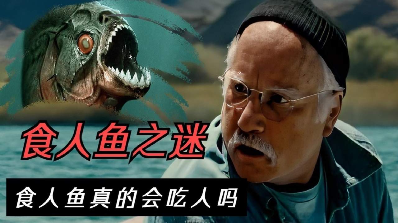 水中的无形杀手-食人鱼,究竟像不像电影中一样恐怖呢?