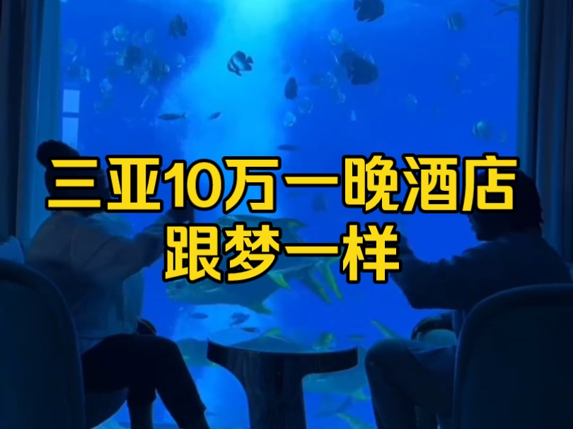 [TikTok]博主分享三亚水世界10万一晚的酒店,直接在外网爆火了!哔哩哔哩bilibili