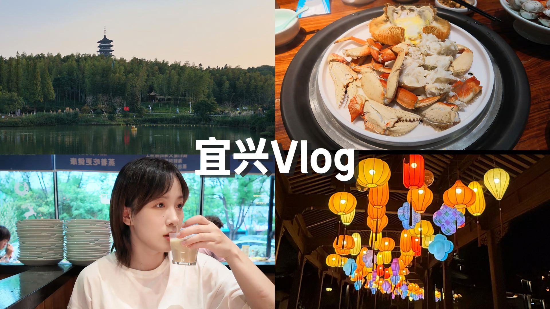 宜兴vlog| 逛陶瓷餐具店 | 当地小吃街 | 初秋的森林公园 | 吃蒸汽海鲜 | 中秋灯会
