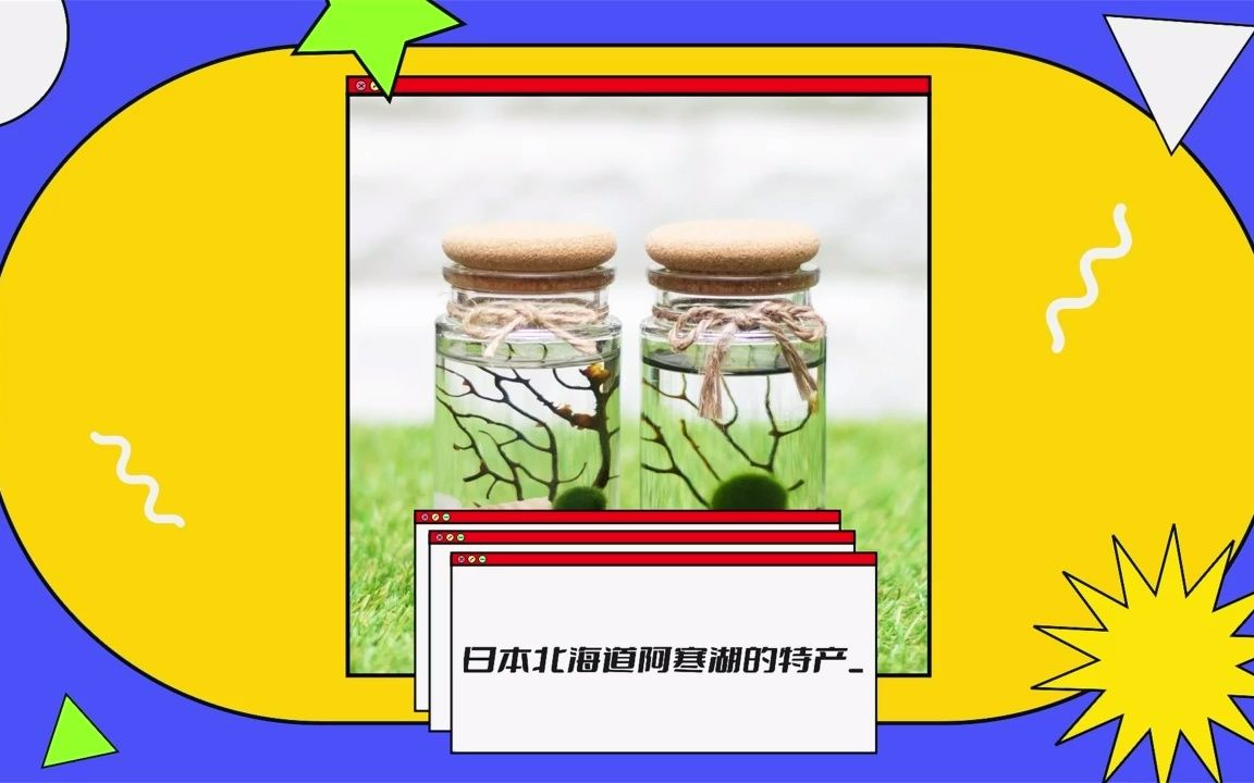 遇见日本著名的阿寒湖marimo MINIGARDEN~~哔哩哔哩bilibili