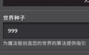 当我在1.21创建存档时输入999种子…